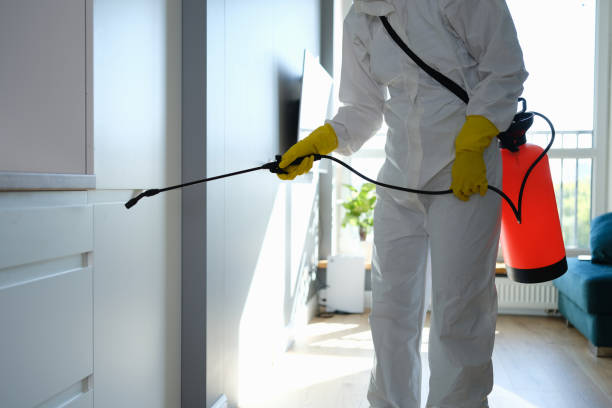 Best Mold Remediation for Schools in Burlington, KS