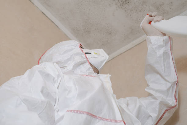  Burlington, KS Mold Removal Pros